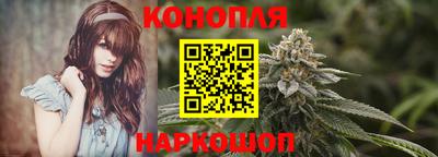 дмт Можайск