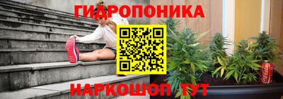 твердый Можга