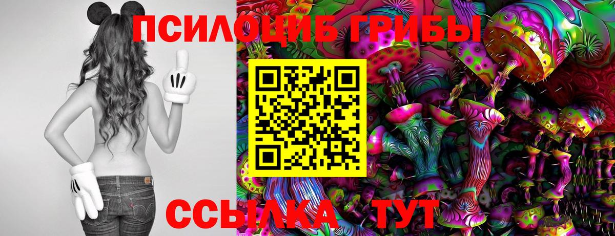 Псилоцибиновые грибы ЛСД Дедовск