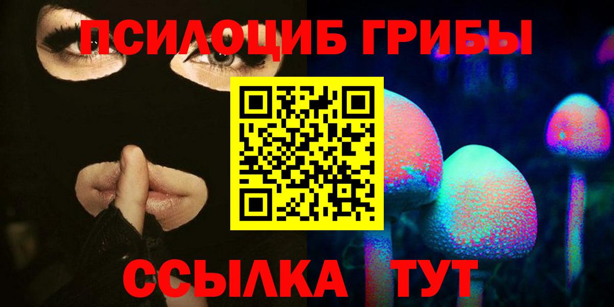 Галлюциногенные грибы Cubensis  Вход с VPN  Дедовск 